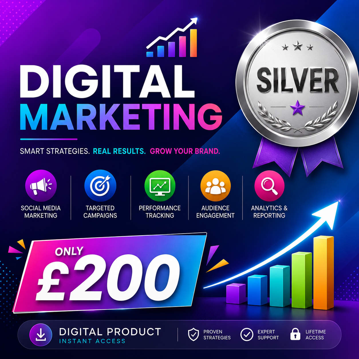 Digital Marketing Silver